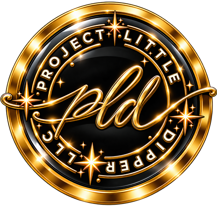 Project Little Dipper LLC